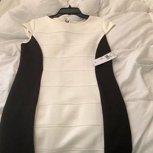 Black and White Fitted Dress